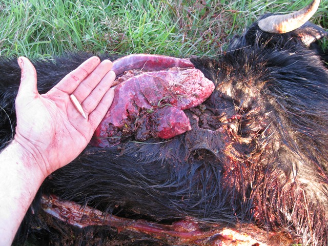 Bullet penetration gunshot wounds for that Bullet penetration gunshot wounds speaking